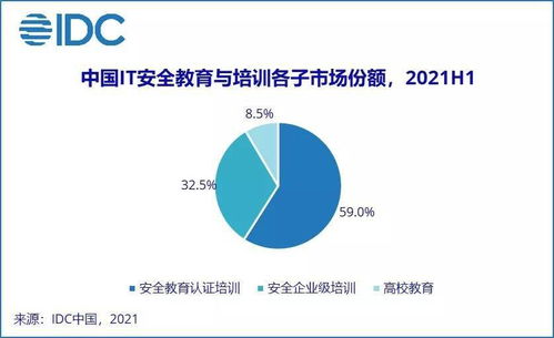 IDC報告揭示 2021上半年中國網絡安全服務市場迎爆發，網絡與信息安全軟件開發成核心引擎