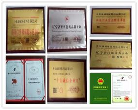 健康為本，科技引領 盛研科技王世盛打造負離子環保新格局